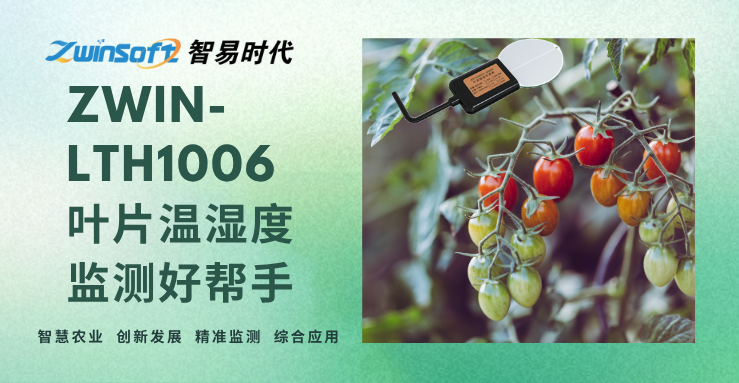 ZWIN-LTH1006ҶƬʪȼð
