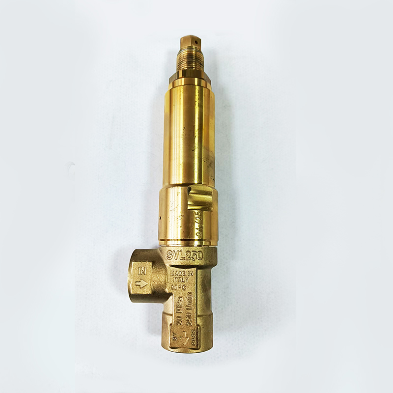 意大利AR安全阀 SVL20/250