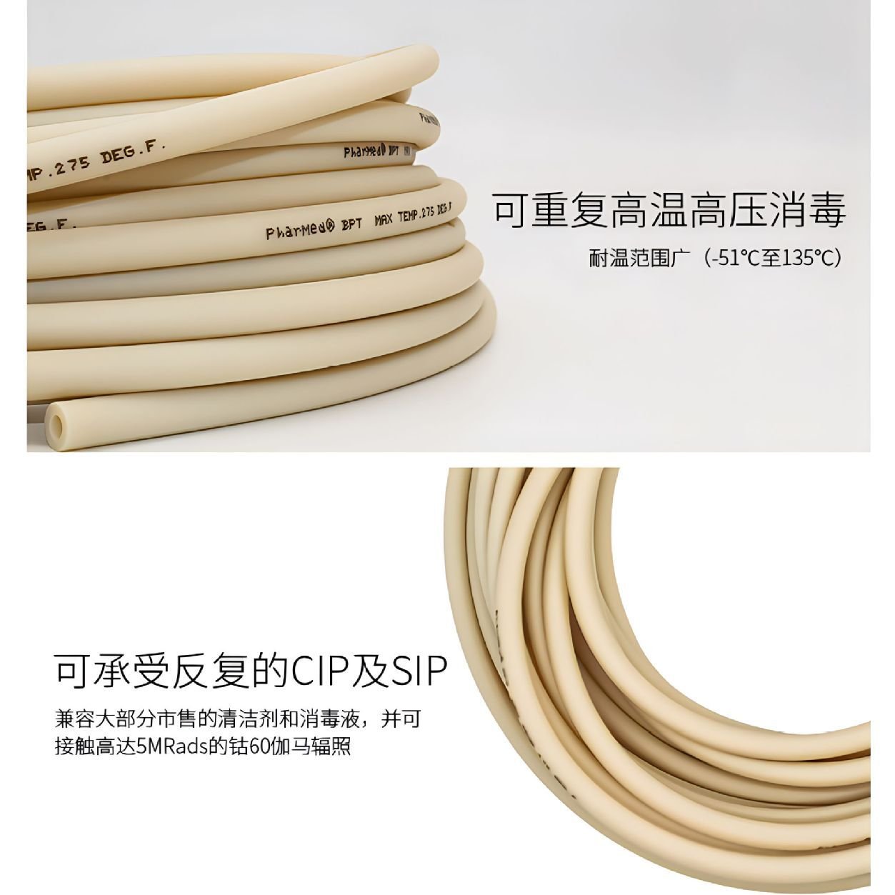 ʥ����ͳ��������� Pharmed BPT�ù����е�ǿ�����AY242606