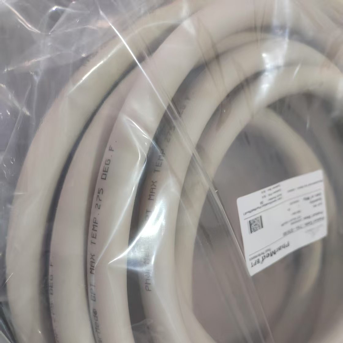 ʥ����ͳ��������� Pharmed BPT�ù����е�ǿ�����AY242606