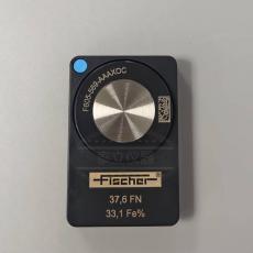 德国Fischer 菲希尔铁素体含量标准试块F605