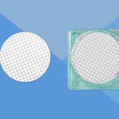 ����鿴��ͼƬ