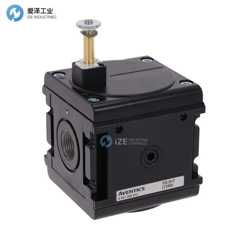 AVENTICSڷ0821300966