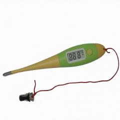 ����鿴��ͼƬ