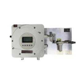 SNDR防爆型氢气分析仪系统SD-HR300Ex