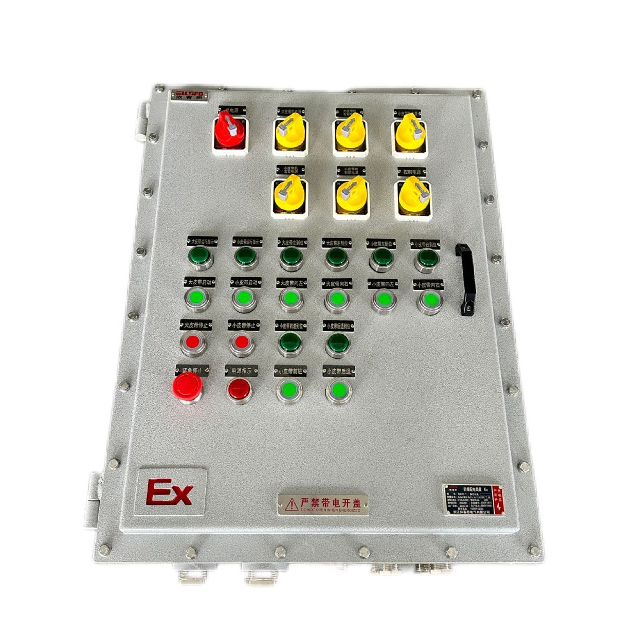 依客思粉尘防爆环境用照明动力控制配电箱DIPA21 TA,T6