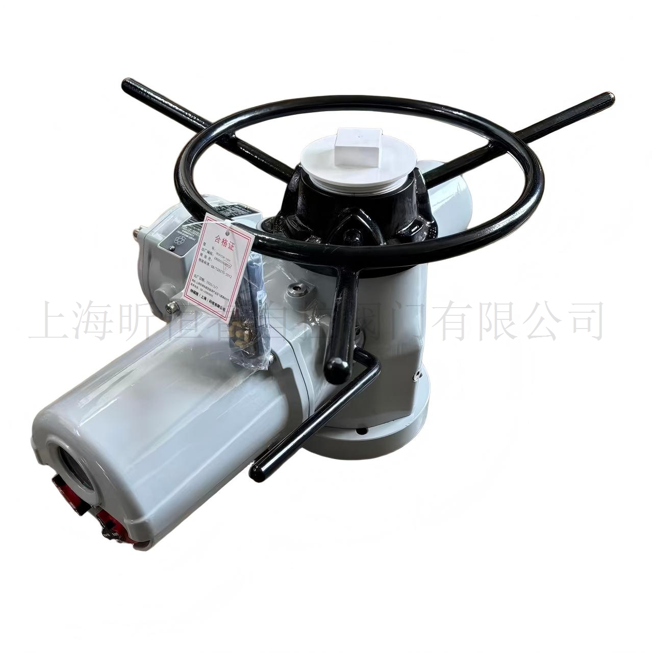 罗托克英国Rotork执行器IQC 20