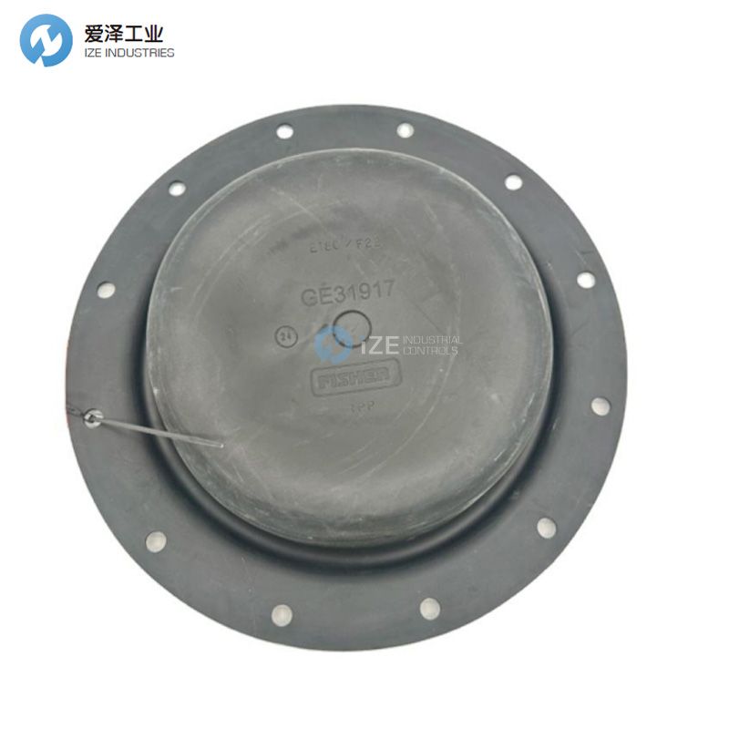 FISHERĤƬGE31917X012