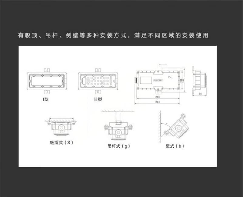 华荣智辉BLC6193LED防爆隧道灯 20W防水IP68 应急180分钟 WF2管廊照明灯