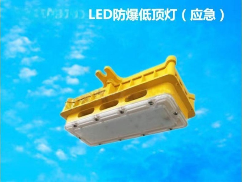 紫光智明LHB8685-ELED防爆低顶灯 防护IP68应急照明灯 WF2防腐18W 应急6W灯具