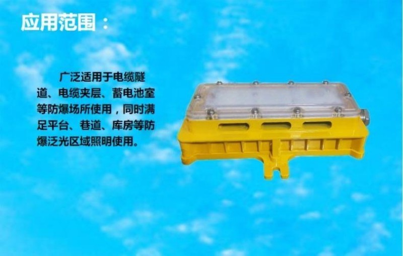 紫光智明LHB8685-ELED防爆低顶灯 防护IP68应急照明灯 WF2防腐18W 应急6W灯具
