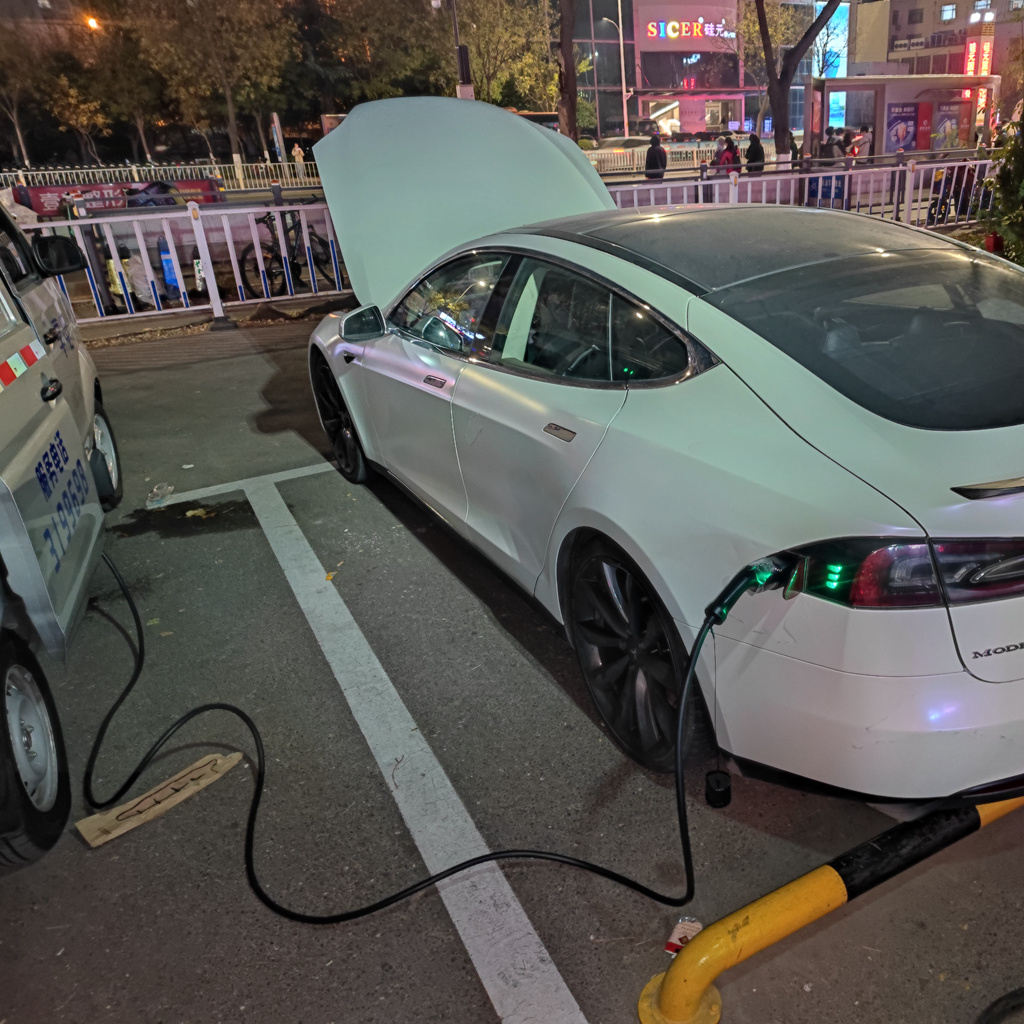 ԴƶӦ  רעŵxd3199698