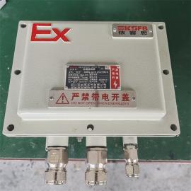 JXD不锈钢喷塑防爆接线箱带铠装接头依客思