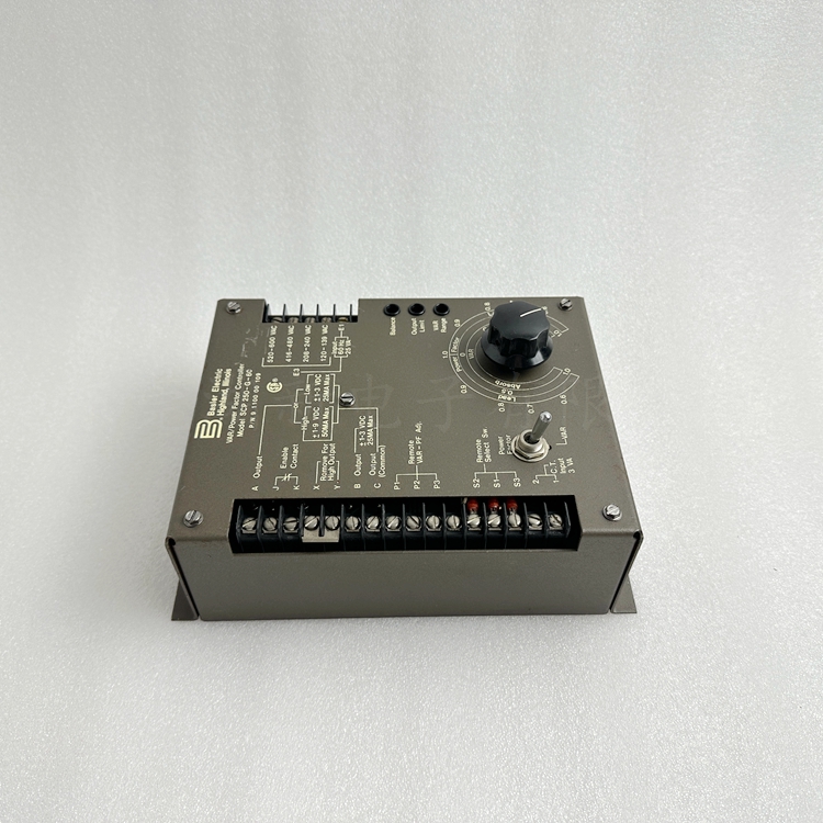 BASLER巴斯勒SCP 250-G-60电压调节器控制模块 9110000109