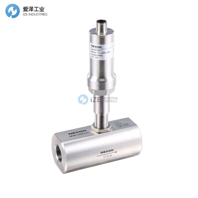 NEXON ELECTRONIC流量计FTB200/GF04TCB4.5L2DWERSA420S/316