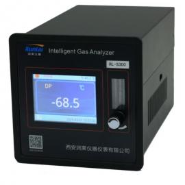润来智能型露点仪RL-S300