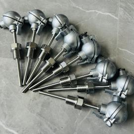 海峡工控双路温度传感器HXWZ/2P-330