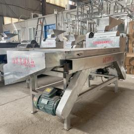 新型茶籽剥壳机 青茶蒲脱壳分离一体机 霜降果去壳脱粒设备