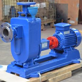 ��ȪZWII150-160-25��ʽ��ˮ�� ��ˮ�� ��ˮר�� ���׻���108-35