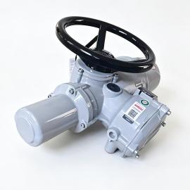 ROTORK�����Ͷ��ת�綯ִ����բ����ֹ��ִ�л���IQ20